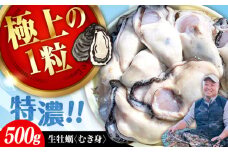 【1月14日（水）着】牡蠣 むき身 かき カキ 高品質の牡蠣を産地直送！ 【生牡蠣】【着日指定可能】 『てつまるかき』 牡蠣 むき身 500g 加熱用 かき 海鮮 海産物 簡単 広島県産 江田島市/有限会社テツマル海産 [XCO001]