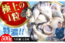 【3月23日（日）着】牡蠣 むき身 かき カキ 高品質の牡蠣を産地直送！ 【生牡蠣】【着日指定可能】 『てつまるかき』 牡蠣 むき身 500g 加熱用 かき 海鮮 海産物 簡単 広島県産 江田島市/有限会社テツマル海産 [XCO001]