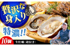 【3月29日（土）着】高品質の牡蠣を産地直送！ 【生牡蠣】【着日指定可能】『てつまるかき』牡蠣 殻付き 10個 加熱用 かき 海鮮 海産物 簡単 広島県産 江田島市/有限会社テツマル海産 [XCO005]