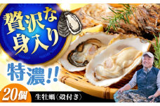 【3月21日（金）着】高品質の牡蠣を産地直送！ 【生牡蠣】【着日指定可能】『てつまるかき』牡蠣 殻付き 20個 加熱用 かき 海鮮 海産物 簡単 広島県産 江田島市/有限会社テツマル海産 [XCO006]