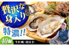 【1月17日（土）着】高品質の牡蠣を産地直送！ 【生牡蠣】【着日指定可能】『てつまるかき』牡蠣 殻付き 40個 加熱用 かき 海鮮 海産物 簡単 広島県産 江田島市/有限会社テツマル海産 [XCO008]
