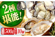 【3月16日（日）着】高品質の牡蠣を産地直送！ 【生牡蠣】【着日指定可能】『てつまるかき』牡蠣 むき身500g・殻付き10個セット 加熱用 かき 海鮮 海産物 簡単 広島県産 江田島市/有限会社テツマル海産 [XCO012]