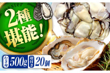 【3月23日（日）着】高品質の牡蠣を産地直送！ 【生牡蠣】【着日指定可能】『てつまるかき』牡蠣 むき身500g・殻付き20個セット 加熱用 かき 海鮮 海産物 簡単 広島県産 江田島市/有限会社テツマル海産 [XCO013]