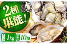 【3月19日（水）着】高品質の牡蠣を産地直送！ 【生牡蠣】【着日指定可能】『てつまるかき』牡蠣 むき身1kg・殻付き10個セット 加熱用 かき 海鮮 海産物 簡単 広島県産 江田島市/有限会社テツマル海産 [XCO014]