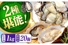 【3月30日（日）着】高品質の牡蠣を産地直送！ 【生牡蠣】【着日指定可能】『てつまるかき』牡蠣 むき身1kg・殻付き20個セット 加熱用 かき 海鮮 海産物 簡単 広島県産 江田島市/有限会社テツマル海産 [XCO015]