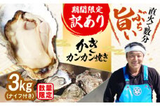 【生牡蠣】【訳あり】カンカン焼き（ナイフ付き）3kg 牡蠣 かき 魚介類 料理 簡単 江田島市/株式会社門林水産 [XAO041] 牡蠣 冷凍 むき身 殻付き 殻付 殻 かき カキ 生牡蠣 広島牡蠣 オイスター カキフライ 魚介類 魚介 貝類 海鮮 広島県産 国産 産地直送 贈答 ギフト 特産品