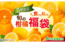 【全6回定期便】旬の柑橘類 お楽しみ福袋 みかん フルーツ 果物 数量限定 期間限定 果物 蜜柑 柑橘 ミカン ギフト 贈り物 ビタミン 美容 健康 オレンジ 果肉 果物 お取り寄せ ギフト 果物 蜜柑 柑橘 ミカン ギフト 贈り物 お取り寄せ ギフト リピート ギフト プレゼント 贈答 人気 高品質 好評 広島県産 江田島市/江田島市観光協会 [XAI009]