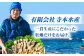 牡蠣 生食 むき身 殻付き かき カキ 生牡蠣 広島牡蠣 オイスター カキフライ 魚介類 貝類 海鮮 広島県産 国産 産地直送