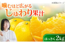 八朔 2kg 小玉 江田島市産 ハッサク はっさく 広島 柑橘類 家庭用 果物 フルーツ ふるーつ みかん 蜜柑 柑橘 ミカン ギフト 贈り物 ビタミン 美容 健康 オレンジ 果肉 果物 お取り寄せ ギフト 果物 蜜柑 柑橘 ミカン ギフト 贈り物 お取り寄せ ギフト リピート ギフト プレゼント 贈答 人気 高品質 好評 広島県産 ハルテラス農園/江田島市 [XCX001]