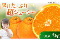 不知火 2kg しらぬい 小玉 デコポン 江田島市産 広島 果物 フルーツ ふるーつ みかん 蜜柑 柑橘 ミカン ギフト 贈り物 ビタミン 美容 健康 オレンジ 果肉 果物 お取り寄せ ギフト 果物 蜜柑 柑橘 ミカン ギフト 贈り物 お取り寄せ ギフト リピート ギフト プレゼント 贈答 人気 高品質 好評 広島県産 ハルテラス農園/江田島市 [XCX002]