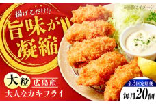 【全3回定期便】牡蠣 冷凍 こだわり大粒の『大人なカキフライ』【瞬間冷凍】20個入り 牡蠣 かき カキ 大粒 かき 海鮮 和食 海産物 広島県産 江田島市/有限会社マルイチ水産 [XCU005] 牡蠣 生食 冷凍 むき身 殻付き 殻付 殻 かき カキ 生牡蠣 広島牡蠣 オイスター カキフライ 魚介類 魚介 貝類 海鮮 広島県産 国産 産地直送 贈答 ギフト 特産品