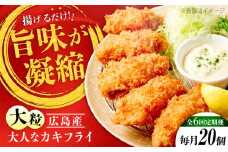 【全6回定期便】牡蠣 冷凍 こだわり大粒の『大人なカキフライ』【瞬間冷凍】20個入り 牡蠣 かき カキ 大粒 かき 海鮮 和食 海産物 広島県産 江田島市/有限会社マルイチ水産 [XCU006] 牡蠣 生食 冷凍 むき身 殻付き 殻付 殻 かき カキ 生牡蠣 広島牡蠣 オイスター カキフライ 魚介類 魚介 貝類 海鮮 広島県産 国産 産地直送 贈答 ギフト 特産品