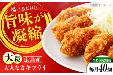 【全6回定期便】牡蠣 冷凍 こだわり大粒の『大人なカキフライ』【瞬間冷凍】40個入り 牡蠣 かき カキ 大粒 かき 海鮮 和食 海産物 広島県産 江田島市/有限会社マルイチ水産 [XCU009] 牡蠣 生食 冷凍 むき身 殻付き 殻付 殻 かき カキ 生牡蠣 広島牡蠣 オイスター カキフライ 魚介類 魚介 貝類 海鮮 広島県産 国産 産地直送 贈答 ギフト 特産品