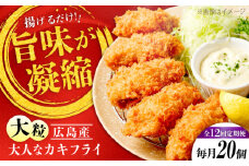 【全12回定期便】牡蠣 冷凍 こだわり大粒の『大人なカキフライ』【瞬間冷凍】20個入り 牡蠣 かき カキ 大粒 かき 海鮮 和食 海産物 広島県産 江田島市/有限会社マルイチ水産 [XCU007] 牡蠣 冷凍 むき身 殻付き 殻付 殻 かき カキ 生牡蠣 広島牡蠣 オイスター カキフライ 魚介類 魚介 貝類 海鮮 広島県産 国産 産地直送 贈答 ギフト 特産品
