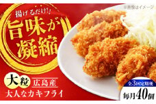 【全3回定期便】牡蠣 冷凍 こだわり大粒の『大人なカキフライ』【瞬間冷凍】40個入り 牡蠣 かき カキ 大粒 かき 海鮮 和食 海産物 広島県産 江田島市/有限会社マルイチ水産 [XCU008] 牡蠣 生食 冷凍 むき身 殻付き 殻付 殻 かき カキ 生牡蠣 広島牡蠣 オイスター カキフライ 魚介類 魚介 貝類 海鮮 広島県産 国産 産地直送 贈答 ギフト 特産品