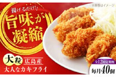 【全12回定期便】牡蠣 冷凍 こだわり大粒の『大人なカキフライ』【瞬間冷凍】40個入り 牡蠣 かき カキ 大粒 かき 海鮮 和食 海産物 広島県産 江田島市/有限会社マルイチ水産 [XCU010] 牡蠣 生食 冷凍 むき身 殻付き 殻付 殻 かき カキ 生牡蠣 広島牡蠣 オイスター カキフライ 魚介類 魚介 貝類 海鮮 広島県産 国産 産地直送 贈答 ギフト 特産品