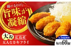 【全3回定期便】牡蠣 冷凍 こだわり大粒の『大人なカキフライ』【瞬間冷凍】60個入り 牡蠣 かき カキ 大粒 かき 海鮮 和食 海産物 広島県産 江田島市/有限会社マルイチ水産 [XCU011] 牡蠣 生食 冷凍 むき身 殻付き 殻付 殻 かき カキ 生牡蠣 広島牡蠣 オイスター カキフライ 魚介類 魚介 貝類 海鮮 広島県産 国産 産地直送 贈答 ギフト 特産品