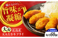 【全3回定期便】牡蠣 冷凍 こだわり大粒の『大人なカキフライ』【瞬間冷凍】60個入り 牡蠣 かき カキ 大粒 かき 海鮮 和食 海産物 広島県産 江田島市/有限会社マルイチ水産 [XCU011] 牡蠣 冷凍 むき身 殻付き 殻付 殻 かき カキ 生牡蠣 広島牡蠣 オイスター カキフライ 魚介類 魚介 貝類 海鮮 広島県産 国産 産地直送 贈答 ギフト 特産品