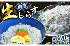 生しらす 100g×3個 しらす シラス 冷凍 小分け 魚介類 海鮮 丼 広島県産 海鮮 魚介類 冷凍 水産加工品 海藻 鮮魚 さかな 刺身 詰め合わせ セット 小分け 海鮮丼 加工品 惣菜 刺身 真空パック 小分け タコ たこ 蛸 はまち ハマチ 魬 しらす シラス 料理 和食 時短 便利 ギフト 広島県産 人気 送料無料 江田島市/七宝丸 [XBY013]