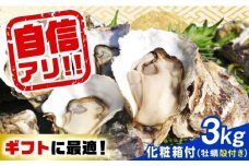 特選 牡蠣三昧！【生牡蠣】広島牡蠣 殻付き3kg（化粧箱あり） 魚介類 海鮮 牡蠣 殻付き かき カキフライ カキ ギフト 広島県産 人気 送料無料 江田島市/株式会社門林水産 [XAO047] 牡蠣 冷凍 むき身 殻付き 殻付 殻 かき カキ 生牡蠣 広島牡蠣 オイスター カキフライ 魚介類 魚介 貝類 海鮮 広島県産 国産 産地直送 贈答 ギフト 特産品