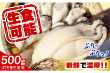特選 牡蠣三昧！【生牡蠣】広島牡蠣　むき身500g 生食用 魚介類 海鮮 牡蠣 むき身 かき カキフライ カキ ギフト 広島県産 人気 送料無料 江田島市/株式会社門林水産 [XAO050] 牡蠣 冷凍 むき身 殻付き 殻付 殻 かき カキ 生牡蠣 広島牡蠣 オイスター カキフライ 魚介類 魚介 貝類 海鮮 広島県産 国産 産地直送 贈答 ギフト 特産品