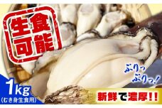 特選 牡蠣三昧！【生牡蠣】広島牡蠣　むき身1kg 生食用 魚介類 海鮮 牡蠣 むき身 かき カキフライ カキ ギフト 広島県産 人気 送料無料 江田島市/株式会社門林水産 [XAO051] 牡蠣 冷凍 むき身 殻付き 殻付 殻 かき カキ 生牡蠣 広島牡蠣 オイスター カキフライ 魚介類 魚介 貝類 海鮮 広島県産 国産 産地直送 贈答 ギフト 特産品