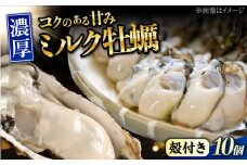 【1月22日（木）発送】江田島ミルク牡蠣 殻付き 10個 加熱用 かき 広島県産 カキ 貝付き牡蠣 海鮮 贈呈用 BBQ 濃厚 新鮮 蒸し牡蠣 焼き牡蠣 グリル焼き 丸杉水産/江田島市 [XCY001] 牡蠣 生食 冷凍 むき身 殻付き 殻付 殻 かき カキ 生牡蠣 広島牡蠣 オイスター カキフライ 魚介類 魚介 貝類 海鮮 広島県産 国産 産地直送 贈答 ギフト 特産品