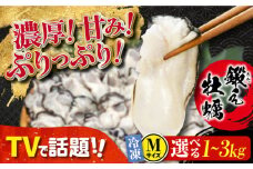 他の牡蠣とは味がちがう！【冷凍】 大粒 牡蠣 鍛え牡蠣 むき身 Mサイズ（冷凍）牡蠣 広島 かき むき身料理 簡単 江田島市/有限会社寺本水産 [XAE021] 牡蠣 生食 冷凍 むき身 殻付き 殻付 殻 かき カキ 生牡蠣 広島牡蠣 オイスター カキフライ 魚介類 魚介 貝類 海鮮 広島県産 国産 産地直送 贈答 ギフト 特産品
