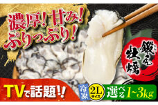 他の牡蠣とは味がちがう！広島産 大粒 鍛え牡蠣 むき身 2Lサイズ（冷凍） 牡蠣 広島 かき むき身 料理 簡単 江田島市/有限会社寺本水産 [XAE027] 牡蠣 生食 冷凍 むき身 殻付き 殻付 殻 かき カキ 生牡蠣 広島牡蠣 オイスター カキフライ 魚介類 魚介 貝類 海鮮 広島県産 国産 産地直送 贈答 ギフト 特産品