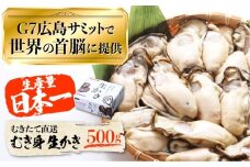 広島G7で提供された牡蠣！【生牡蠣】【着日指定可能】やながわ自慢！ むき身 牡蠣 500g かき 海鮮 和食 海産物 簡単 レシピ 広島県産 江田島市/マルサ・やながわ水産有限会社 [XBL025]