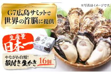 【3月29日（日）着】広島G7で提供された牡蠣！【着日指定可能】やながわ自慢！殻付き 牡蠣 16個（約2kg）牡蠣 かき カキ 生牡蠣 殻付き 広島 江田島市/マルサ・やながわ水産有限会社 [XBL010] 牡蠣 生食 むき身 殻付き 殻付 殻 かき カキ 生牡蠣 広島牡蠣 オイスター カキフライ 魚介類 魚介 貝類 海鮮 広島県産 国産 産地直送 贈答 ギフト 特産品