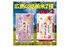 広島の銘柄米2種類 合計10kg【1294706】