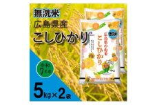 無洗米広島県産コシヒカリ10kg【1294707】
