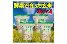 広島コシヒカリ酵素で育った玄米8kg【1294711】