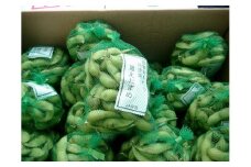 【熊野町特産品】熊野そだち　黒えだまめ(約1㎏)