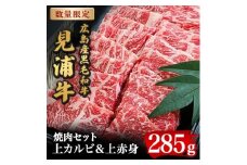 広島産黒毛和牛　「見浦牛」の焼肉セット(285g)【1006853】