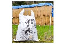＜令和6年産＞名水で育てた、棚田百選のお米「井仁棚田米5kg」【1025146】