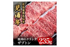 広島産黒毛和牛　「見浦牛」のクラシタ(ザブトン)(235g)【1006854】