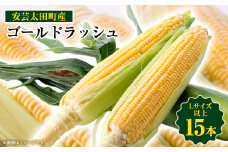 ＜期間限定＞安芸太田町産とうもろこし(ゴールドラッシュ)　Lサイズ以上15本!【1076730】