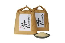 2021年2月発送開始『定期便』令和2年産コシヒカリ・ヒノヒカリ食べ比べセット計8kg  全3回【5007928】