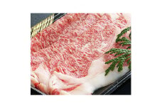 ＜数量限定＞広島産黒毛和牛「見浦牛」のリブローススライス(250g)【1002715】