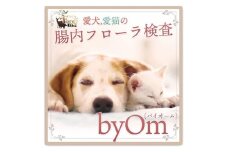 愛犬/愛猫の腸内フローラ解析「byOm(バイオーム)」【1301545】