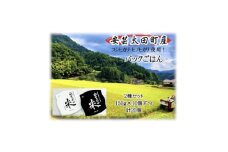 パックごはん2種セット(計20個) 広島県安芸太田町産コシヒカリ・ヒノヒカリ【1555314】