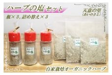 ハーブの塩セット