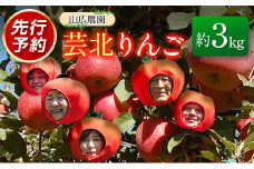 りんご 国産 3kg 農家直送 山広農園 芸北りんご 林檎 秋映 シナノスイート 陽光 ぐんま名月 王林 シナノゴールド ふじ_YA023_001