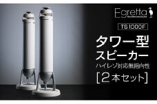 スピーカー オーディオ 全方位 無指向性 Egretta エグレッタ TS1000F ハイレゾ タワー型 オオアサ電子 アンプ非搭載 2本1組_OE025_003