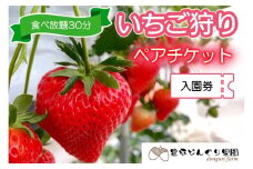 いちご狩りチケット ペア 豊平どんぐり農園 30分食べ放題 大人2名 広島県北広島町_TO005_007
