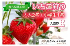 いちご狩りチケット 豊平どんぐり農園 ファミリー 大人2名小学生1名分 30分食べ放題 広島県北広島町_TO005_008