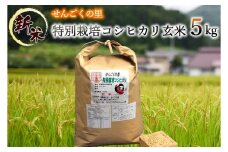 令和5年産 特別栽培 せんごくコシヒカリ 玄米5kg