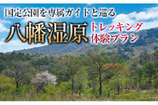 国定公園を専属ガイドと巡る『八幡湿原』トレッキング体験プラン